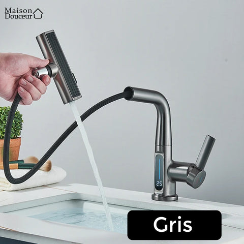 Lucina kitchen faucet