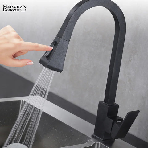 Polly kitchen faucet