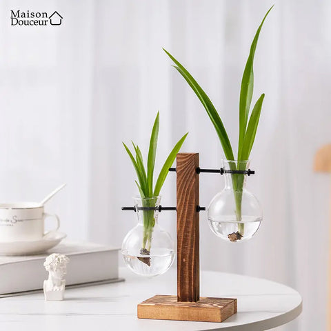 Wooden vase for hydroponic plants